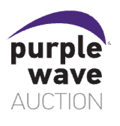 Purple Wave Auctions