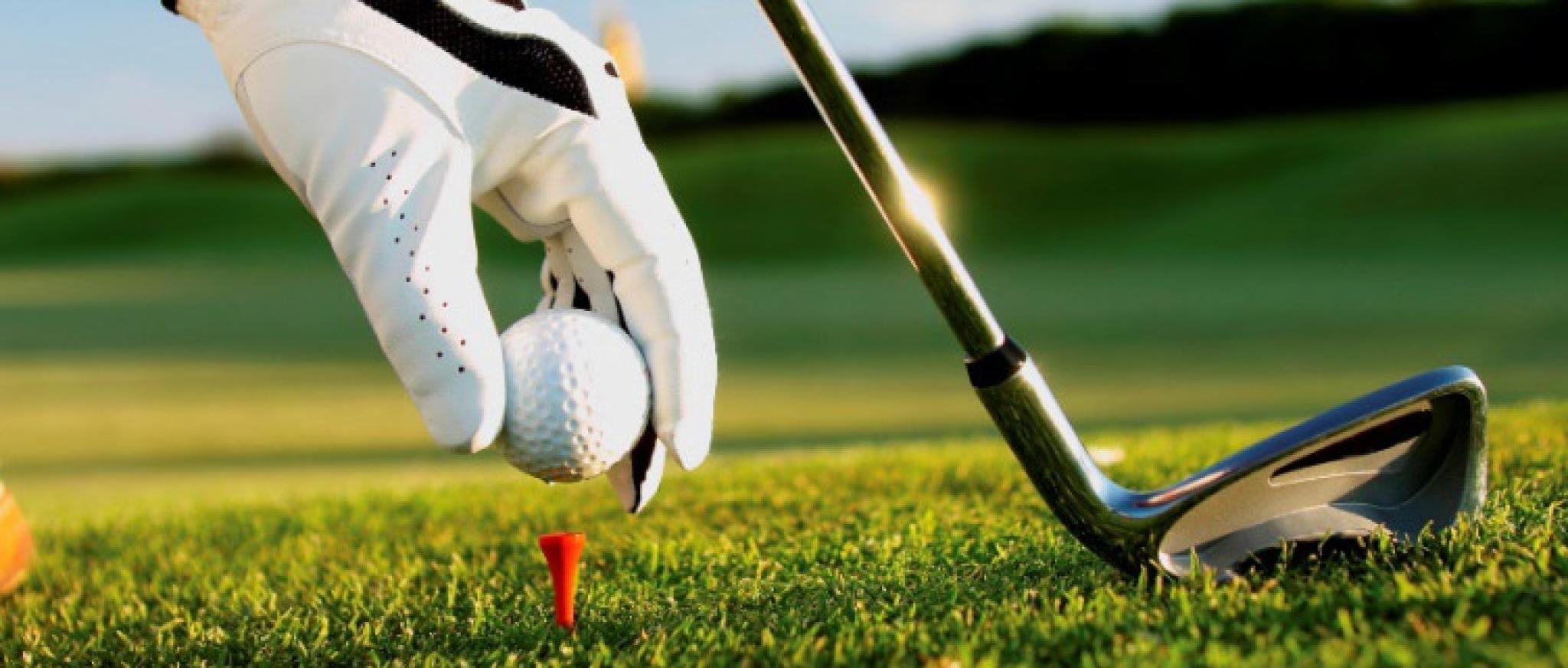 8th Annual Golf Tournament